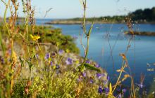 Zdjęcia z Lofotów - sierpień 2012