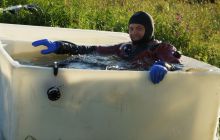 Zdjęcia z Lofotów - sierpień 2012