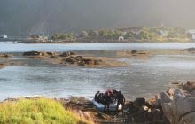 Zdjęcia z Lofotów - sierpień 2012