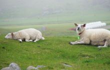 Zdjęcia z Lofotów - sierpień 2012