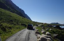 Zdjęcia z Lofotów - sierpień 2012