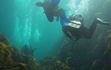 Zdjęcia z Lofotów - sierpień 2012