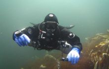 Zdjęcia z Lofotów - sierpień 2012