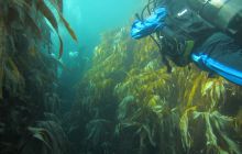 Zdjęcia z Lofotów - sierpień 2012