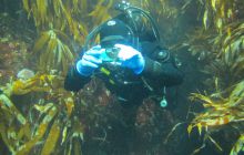 Zdjęcia z Lofotów - sierpień 2012