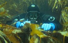 Zdjęcia z Lofotów - sierpień 2012