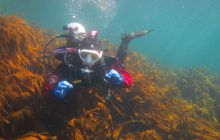 Zdjęcia z Lofotów - sierpień 2012