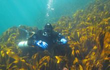 Zdjęcia z Lofotów - sierpień 2012