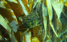 Zdjęcia z Lofotów - sierpień 2012