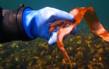 Zdjęcia z Lofotów - sierpień 2012