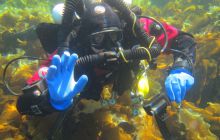 Zdjęcia z Lofotów - sierpień 2012