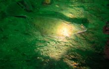 Zdjęcia z Lofotów - sierpień 2012