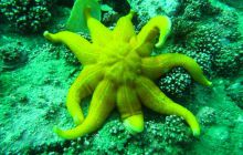 Zdjęcia z Lofotów - sierpień 2012