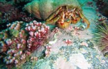 Zdjęcia z Lofotów - sierpień 2012