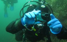 Zdjęcia z Lofotów - sierpień 2012