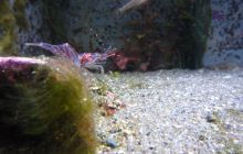 Zdjęcia z Lofotów - sierpień 2012