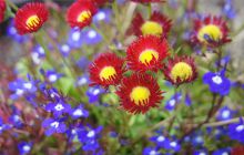 Zdjęcia z Lofotów - sierpień 2012