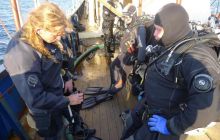 Zdjęcia z warsztatów archeo 11-12.09.2012