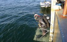 Zdjęcia z warsztatów archeo 11-12.09.2012