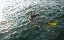 Zdjęcia z warsztatów archeo 11-12.09.2012