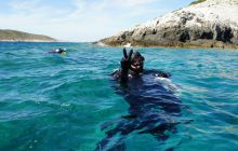 Zdjęcia z wyjazdu do Chorwacji VIS - Sierpień 2012