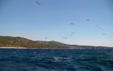 Zdjęcia z wyjazdu do Chorwacji VIS - Sierpień 2012