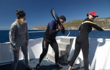 Zdjęcia z wyjazdu do Chorwacji VIS - Sierpień 2012