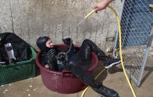 Zdjęcia z wyjazdu do Chorwacji VIS - Sierpień 2012