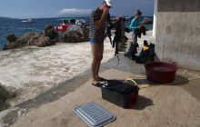 Zdjęcia z wyjazdu do Chorwacji VIS - Sierpień 2012