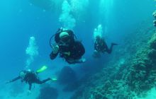 Zdjęcie z safari wrakowego - wrzesień 2012