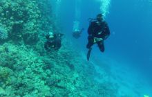 Zdjęcie z safari wrakowego - wrzesień 2012