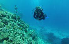 Zdjęcie z safari wrakowego - wrzesień 2012