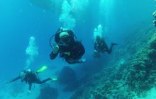 Zdjęcie z safari wrakowego - wrzesień 2012