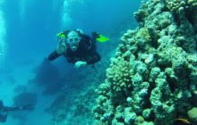 Zdjęcie z safari wrakowego - wrzesień 2012