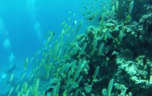 Zdjęcie z safari wrakowego - wrzesień 2012