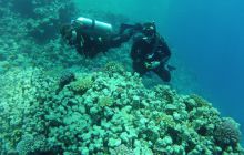 Zdjęcie z safari wrakowego - wrzesień 2012