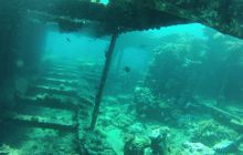 Zdjęcie z safari wrakowego - wrzesień 2012
