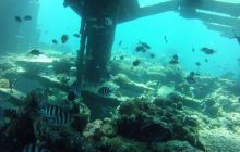 Zdjęcie z safari wrakowego - wrzesień 2012