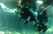 Zdjęcie z safari wrakowego - wrzesień 2012