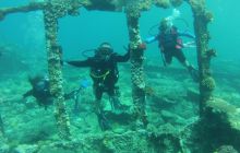 Zdjęcie z safari wrakowego - wrzesień 2012