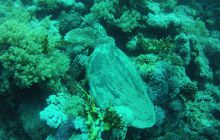 Zdjęcie z safari wrakowego - wrzesień 2012