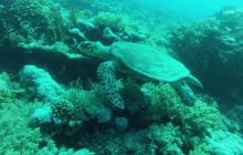 Zdjęcie z safari wrakowego - wrzesień 2012