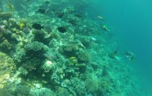 Zdjęcie z safari wrakowego - wrzesień 2012