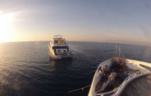 Zdjęcie z safari wrakowego - wrzesień 2012