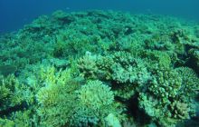 Zdjęcie z safari wrakowego - wrzesień 2012