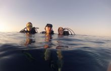 Zdjęcie z safari wrakowego - wrzesień 2012