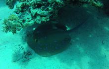 Zdjęcie z safari wrakowego - wrzesień 2012