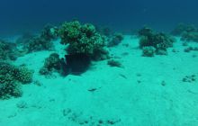 Zdjęcie z safari wrakowego - wrzesień 2012