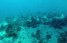 Zdjęcie z safari wrakowego - wrzesień 2012