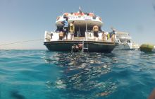 Zdjęcie z safari wrakowego - wrzesień 2012